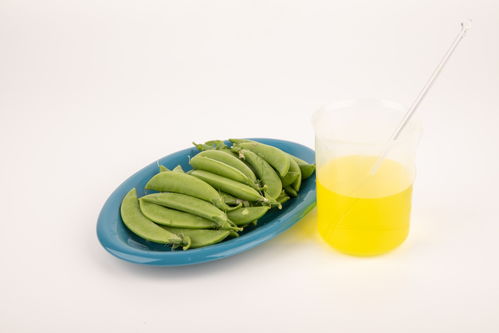 甜碗豆食品安全 農(nóng)業(yè)科技、食品培育與視覺(jué)表達(dá)的交匯點(diǎn)